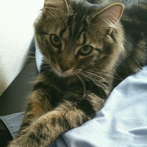 Meet your Posher, Danielle